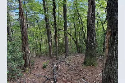 Lot 27 Wolf Pen Road, Purlear, NC 28665 - Photo 16