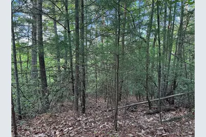 Lot 27 Wolf Pen Road, Purlear, NC 28665 - Photo 14