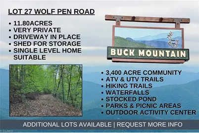 Lot 27 Wolf Pen Road, Purlear, NC 28665 - Photo 1