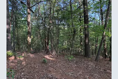 Lot 27 Wolf Pen Road, Purlear, NC 28665 - Photo 18