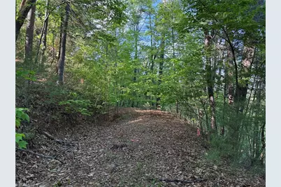 Lot 27 Wolf Pen Road, Purlear, NC 28665 - Photo 6