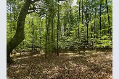 0 Pebble Brook Road, Sandy Ridge, NC 27046 - Photo 2