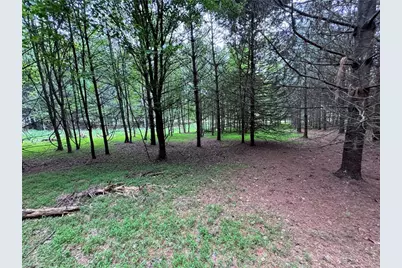 X Green Meadow Lane #5 Ac S, Ararat, NC 27007 - Photo 6