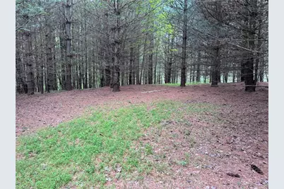 X Green Meadow Lane #5 Ac S, Ararat, NC 27007 - Photo 1