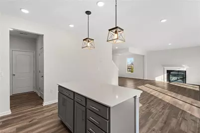 5344 Roshni Terrace, McLeansville, NC 27301 - Photo 16