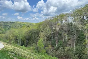 70 Paynes Ct, Roaring Gap, NC 28668 - Photo 36