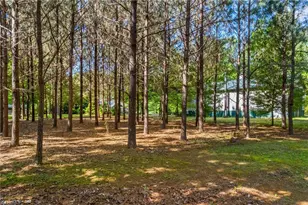 3755 River Rd, Richfield, NC 28137 - Photo 44