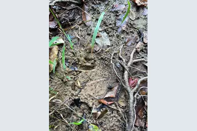 5191 Island Ford Road, Randleman, NC 27317 - Photo 26