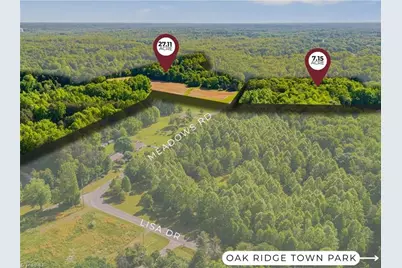 8305 Meadows Road #27+ acres, Oak Ridge, NC 27310 - Photo 6