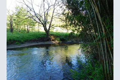 5704 & 5700 Pine Swamp Road, Sparta, NC 28675 - Photo 8