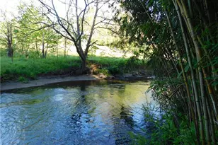 5704 & 5700 Pine Swamp Rd, Sparta, NC 28675 - Photo 8