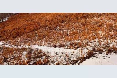 Lot 10 Skeens Mill Road, Trinity, NC 27370 - Photo 24