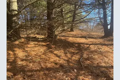 Tbd Holly Hill Drive, Sparta, NC 28675 - Photo 4