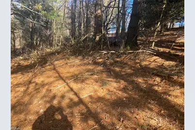 Tbd Holly Hill Drive, Sparta, NC 28675 - Photo 6