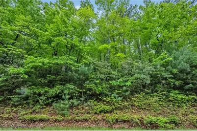 135 Chestnut Mountain Farms Parkway, McGrady, NC 28649 - Photo 18