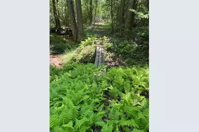 Lot 54 Billings Hill Church Road, Traphill, NC 28683 - Photo 16