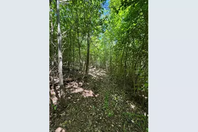 Lot 54 Billings Hill Church Road, Traphill, NC 28683 - Photo 26