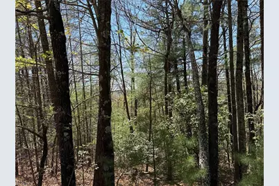 Lot 213 Casey Mountain Road, Purlear, NC 28665 - Photo 14