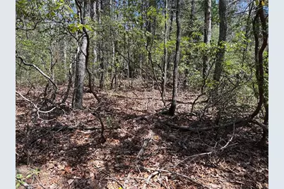 Lot 213 Casey Mountain Road, Purlear, NC 28665 - Photo 10