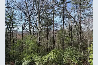 Lot 213 Casey Mountain Road, Purlear, NC 28665 - Photo 2