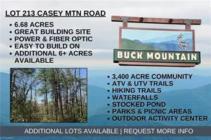 Lot 213 Casey Mountain Rd, Purlear, NC 28665 - Photo 1