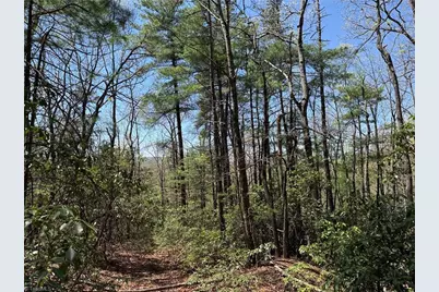 Lot 213 Casey Mountain Road, Purlear, NC 28665 - Photo 8