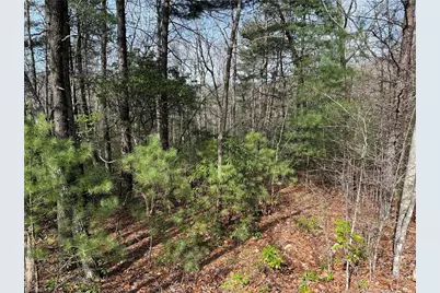 Lot 213 Casey Mountain Road, Purlear, NC 28665 - Photo 6