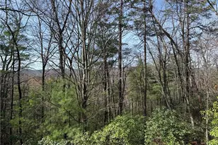 Lot 213 Casey Mountain Rd, Purlear, NC 28665 - Photo 1