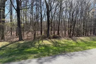 335 Healing Springs Dr, Denton, NC 27239 - Photo 1