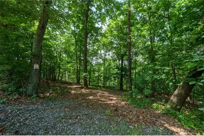 00 Hendren Road, Moravian Falls, NC 28654 - Photo 1