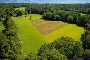 1135 Daisy Creek Farm Rd, Westfield, NC 27053 - Photo 12