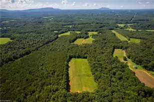 1135 Daisy Creek Farm Rd, Westfield, NC 27053 - Photo 34