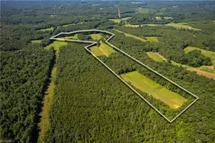 1135 Daisy Creek Farm Rd, Westfield, NC 27053 - Photo 14