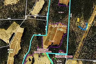 1135 Daisy Creek Farm Rd, Westfield, NC 27053 - Photo 40