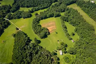 1135 Daisy Creek Farm Rd, Westfield, NC 27053 - Photo 36