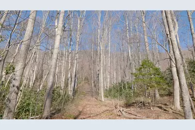 337 Goat House Road, Lambsburg, VA 24351 - Photo 30