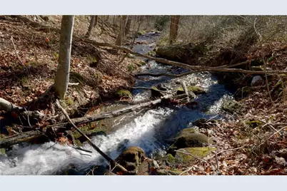 337 Goat House Road, Lambsburg, VA 24351 - Photo 26