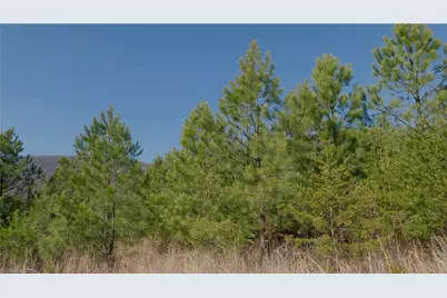 337 Goat House Road, Lambsburg, VA 24351 - Photo 12