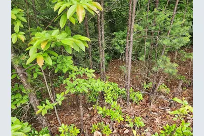 Tbd Derby Chase Court, McGrady, NC 28649 - Photo 6