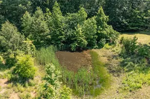 7849 Circle L Trail, Rougemont, NC 27572 - Photo 48