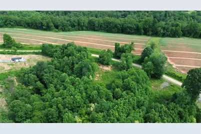 Tbd Bauguess Mill Road, Traphill, NC 28685 - Photo 14