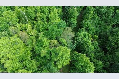 Tbd Bauguess Mill Road, Traphill, NC 28685 - Photo 10