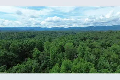 Tbd Bauguess Mill Road, Traphill, NC 28685 - Photo 6