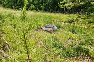 1201 Zz Nc Hwy 61 S, Whitsett, NC 27377 - Photo 10