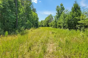 1201 Zz Nc Hwy 61 S, Whitsett, NC 27377 - Photo 14