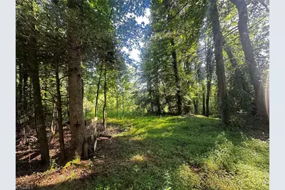 2034 Champion Mt Pleasant Road, Ferguson, NC 28624 - Photo 32