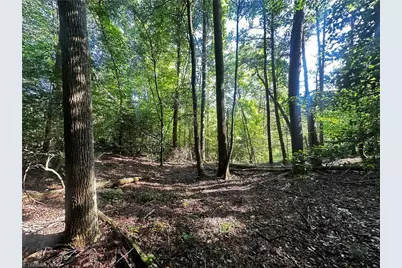 2034 Champion Mt Pleasant Road, Ferguson, NC 28624 - Photo 14