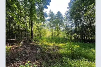 2034 Champion Mt Pleasant Road, Ferguson, NC 28624 - Photo 20