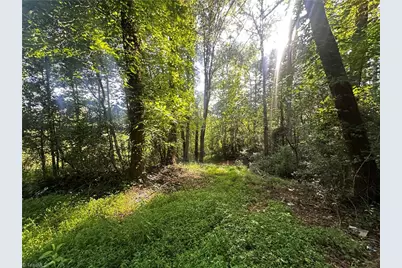 2034 Champion Mt Pleasant Road, Ferguson, NC 28624 - Photo 34