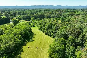 820 Suncrest Orchard Rd, North Wilkesboro, NC 28659 - Photo 4